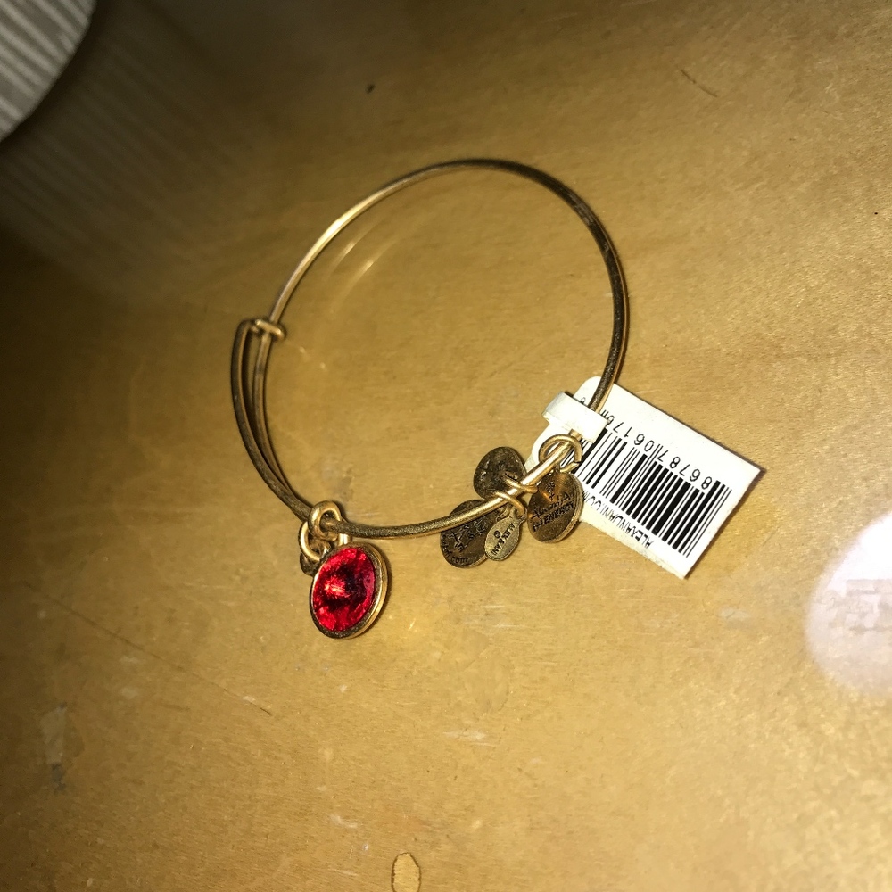Alex and Ani Light Siam Swarovski Charm Bangle